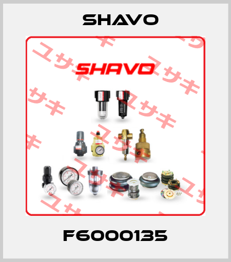 F6000135 Shavo
