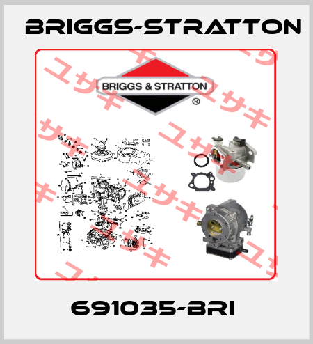 691035-BRI  Briggs-Stratton