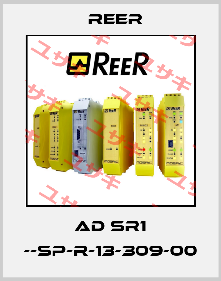 AD SR1 --SP-R-13-309-00 Reer
