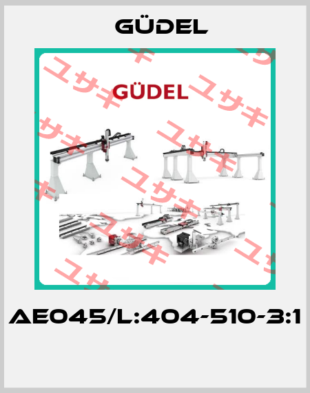 AE045/L:404-510-3:1  Güdel