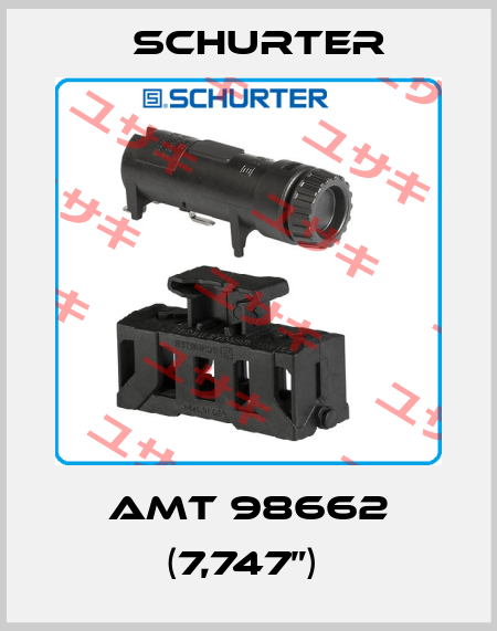 AMT 98662 (7,747”)  Schurter