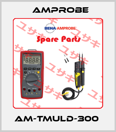 AM-TMULD-300  AMPROBE