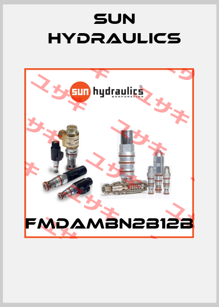 FMDAMBN2B12B  Sun Hydraulics