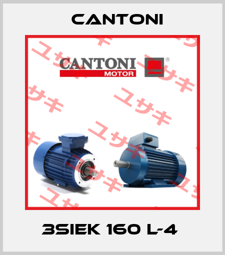 3SIEK 160 L-4  Cantoni Motor