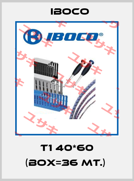 T1 40*60 (BOX=36 MT.)  Iboco
