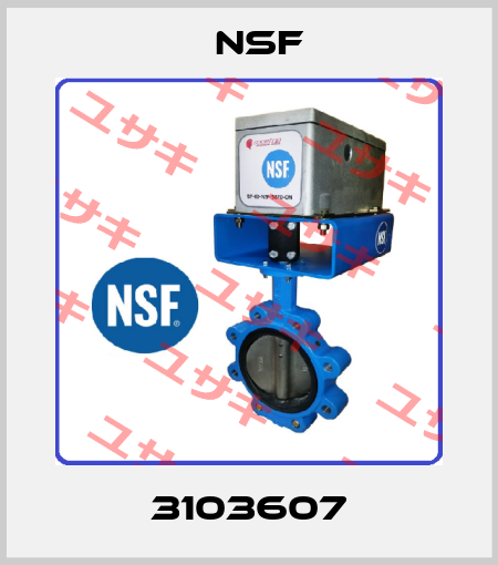 3103607 NSF
