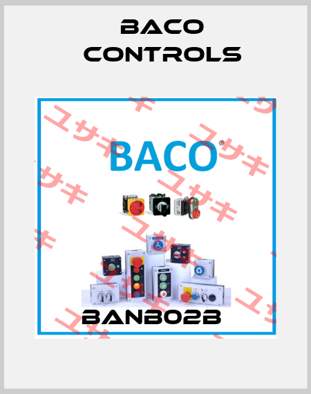 BANB02B  Baco Controls