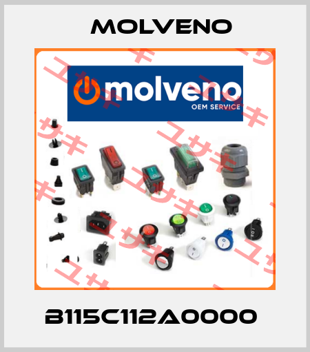 B115C112A0000  Molveno