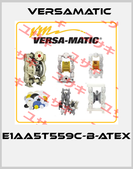 E1AA5T559C-B-ATEX  VersaMatic