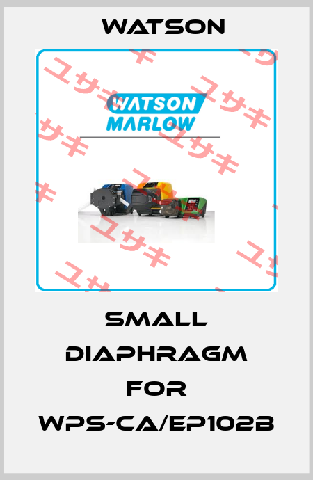SMALL DIAPHRAGM FOR WPS-CA/EP102B Watson
