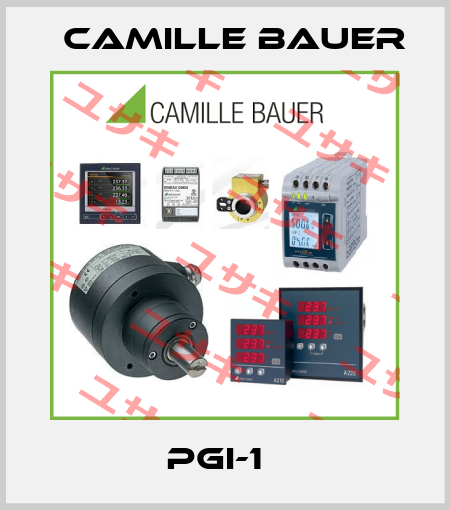 PGI-1   Camille Bauer
