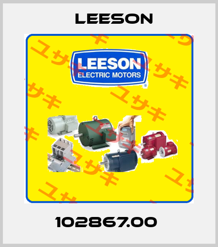 102867.00  LEESON Electric