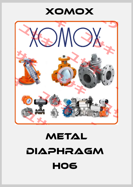 METAL DIAPHRAGM  H06  Xomox