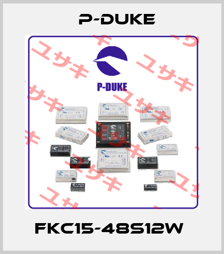 FKC15-48S12W  P-DUKE