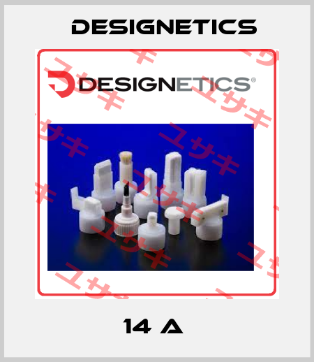 14 A  Designetics