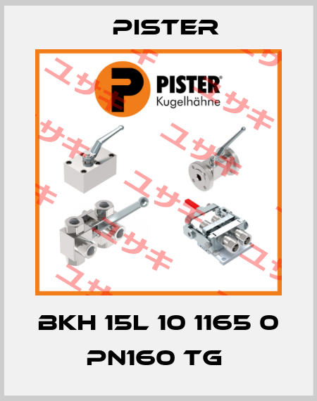 BKH 15L 10 1165 0 PN160 TG  Pister