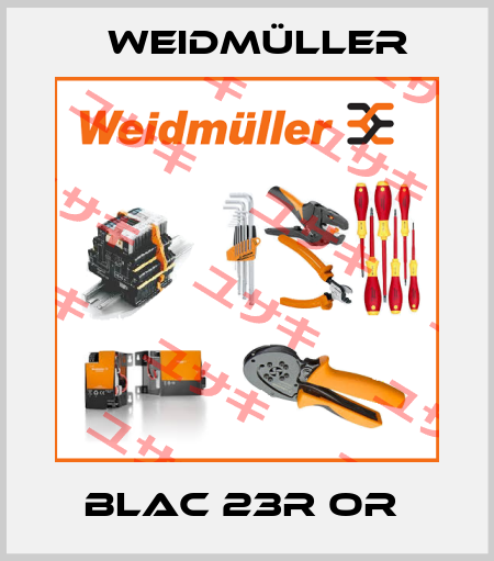 BLAC 23R OR  Weidmüller
