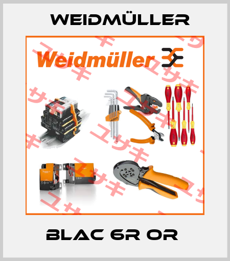 BLAC 6R OR  Weidmüller