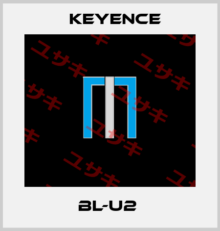 BL-U2  Keyence