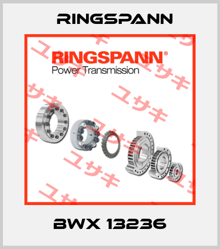 BWX 13236 Ringspann