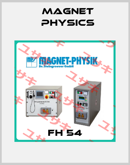 FH 54 Magnet Physics