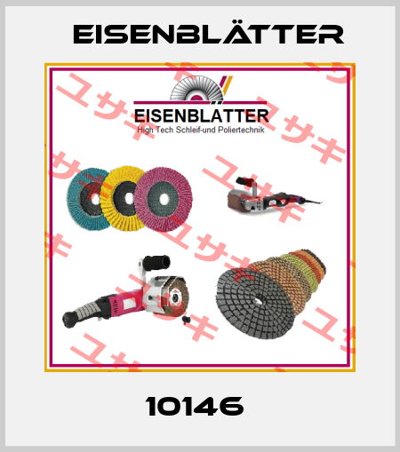 10146  Eisenblätter