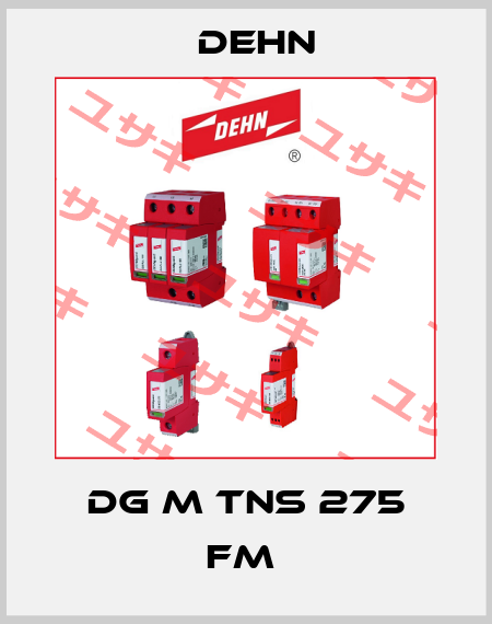 DG M TNS 275 FM  Dehn