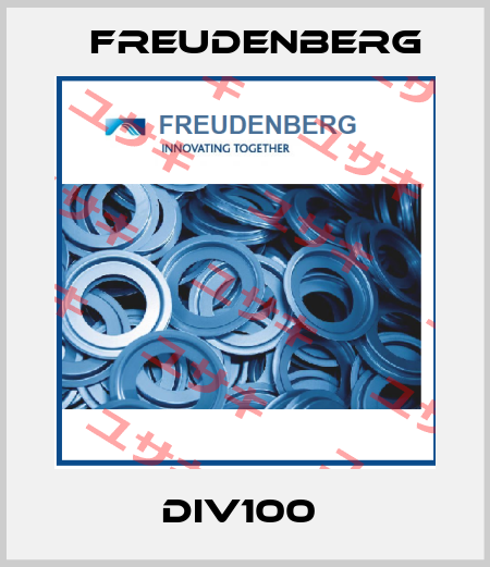 DIV100  Freudenberg