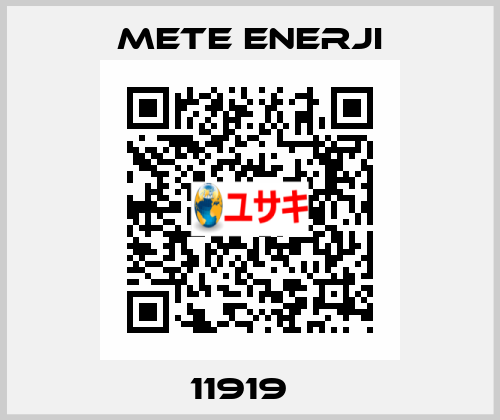11919   METE ENERJI