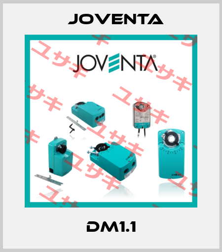 DM1.1 Joventa