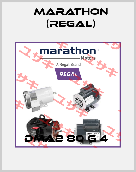 DMA2 80 G 4  Marathon (Regal)