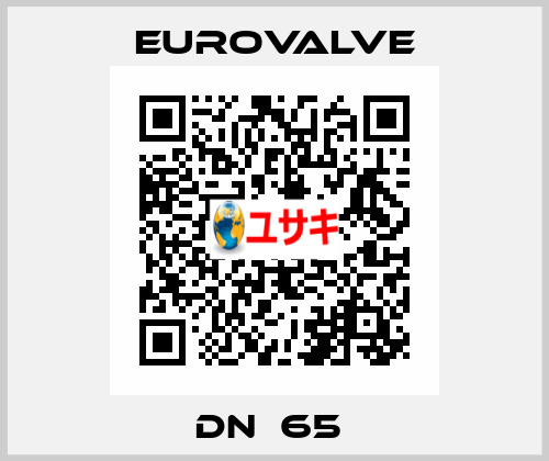 DN  65  Eurovalve