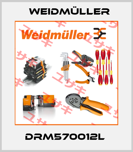 DRM570012L  Weidmüller