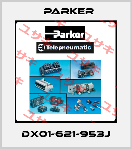 DX01-621-953J Parker