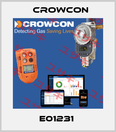 E01231  Crowcon