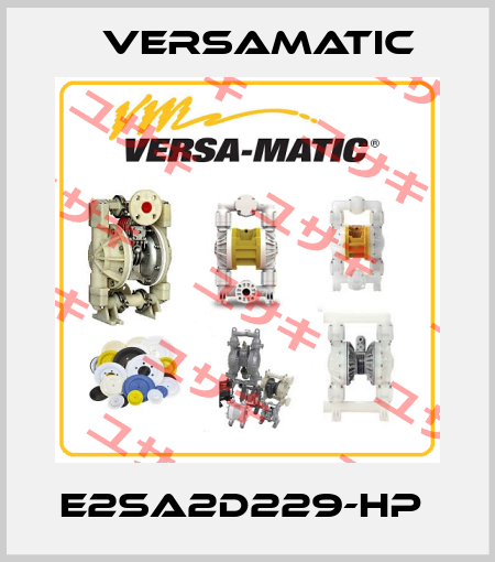 E2SA2D229-HP  VersaMatic