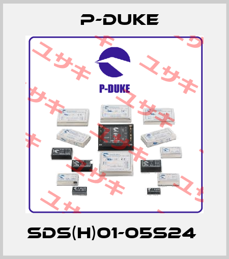 SDS(H)01-05S24  P-DUKE