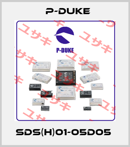 SDS(H)01-05D05  P-DUKE