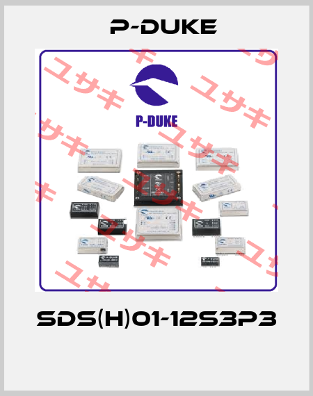 SDS(H)01-12S3P3  P-DUKE