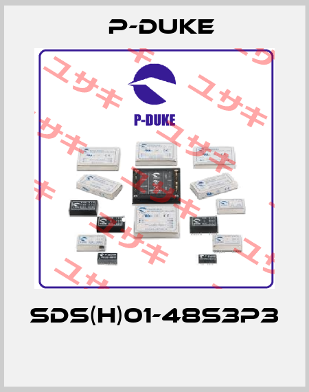 SDS(H)01-48S3P3  P-DUKE