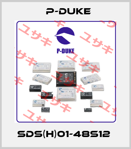 SDS(H)01-48S12  P-DUKE