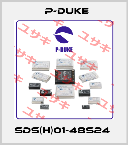 SDS(H)01-48S24  P-DUKE