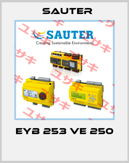 EYB 253 VE 250  Sauter