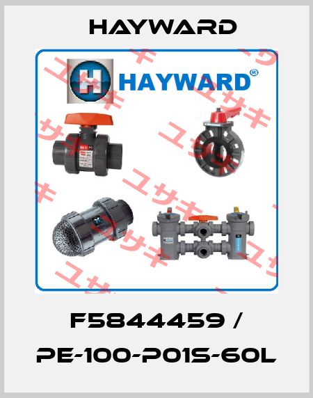 F5844459 / PE-100-P01S-60L HAYWARD