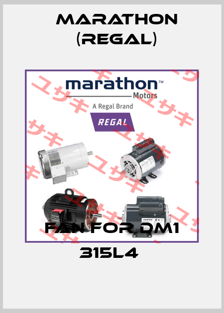 FAN FOR DM1 315L4  Marathon (Regal)