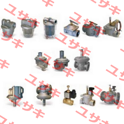 FILTER HOUSING COD 0010161007 MOD 7070003FE DN 50PN16  Giuliani Anello