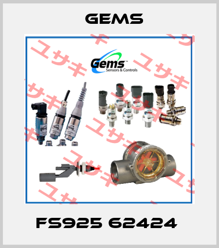 FS925 62424  Gems