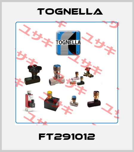 FT291012 Tognella