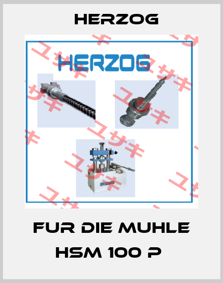 FUR DIE MUHLE HSM 100 P  Herzog