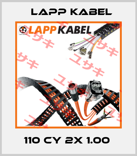 110 CY 2X 1.00  Lapp Kabel